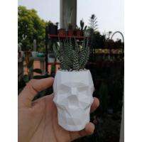 [AMO Garden Decoration]หม้อยิปซัมมินิมอลกะโหลกศีรษะ (เหมาะสำหรับต้นกระบองเพชรและพืชอวบน้ำ)