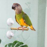 Pet Bird Parrot Stand Perch Shower Perch Standing Bird Toy Bath Stands Parakeet Window Wall Hanging Glass Vacuum Suction Cup