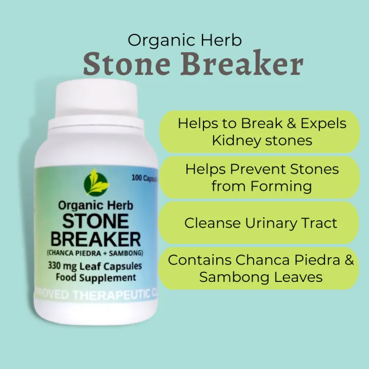 100% Organic Herb Stone Breaker, Chanca Piedra (Sampalukan) + Sambong ...