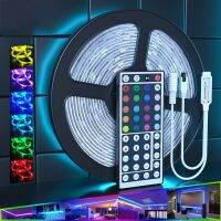 5M 10M 5050 Diode Tape 12 Volt Led Strip Lights RGB For Colorful Children Into The Room Home Kitchen Christmas Decoration Lamp LED Strip Lighting