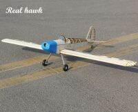 RC Plane Laser Cut Balsa Wood Airplanes Kit 2.5cc(nitro) Wingspan 1000mm New Spacewalk Frame Model Building Kit