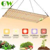 Samsung Quantum LED Grow Light LM281B Diode Full Spectrum Phyto Lamp for Indoor Plants Flowers Greenhouse Seedlings Growth Light Ceiling Lights