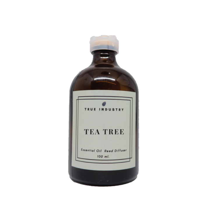 น้ำมันหอมระเหย-ทีทรี-สำหรับปรับอากาศ-tea-tree-essential-oil-reed-diffuser
