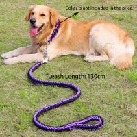 【LZ】audience scipt21pt5 Large Dogs Nylon Dog Leash Double Colors Canvas Double Row Adjustable Dog Collar For Medium Large Dogs 130cm