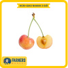 Cherry vàng mỹ size 9 250g - mọng nước, trái chín đậm vị - ảnh sản phẩm 6