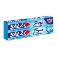 Salz Fresh Japanese Mint Toothpaste 160g x 2 Tubes.ซอลส์ ยาสีฟัน สูตรเฟรช แจเปนนิส มินต์ 160 กรัม x 2 หลอด.