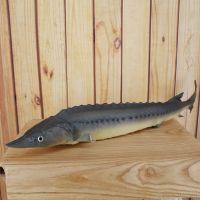 Pu Sturgeon Fish Simulation Model Home Living Room Decorations Ornaments Simulation