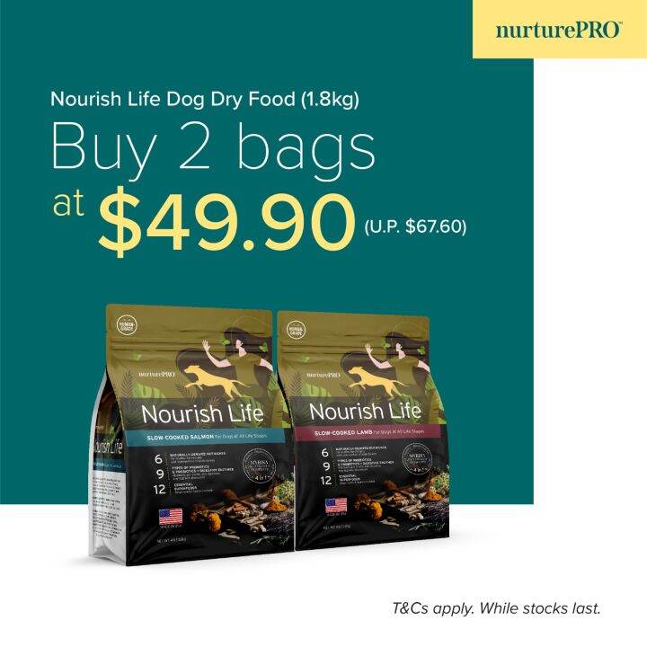 Nurture Pro Nourish Life Chicken Kitten Adult Dry Cat Food Lb