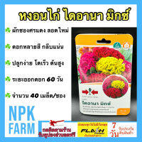 ผักซอง ศรแดง หงอนไก่ ไดอานา มิกซ์ จำนวน 40 เมล็ด/ซอง เมล็ดพันธุ์ ลอตใหม่ ดอกหลายสี ต้นแข็งแรง ปลูกง่าย โตเร็ว ต้นสูง 20 ซม. ระยะออกดอก 60 วัน