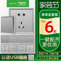 Schneider Switch Socket Official Flagship Store Haolang Fluorescent Gray Light Gray Wall Two And Three Pins Five-Hole Socket Usb