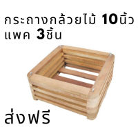 กระเช้ากล้วยไม้ 10นิ้ว แพค3ชิ้น กระถางแบบแขวน กระถางกล้วยไม้