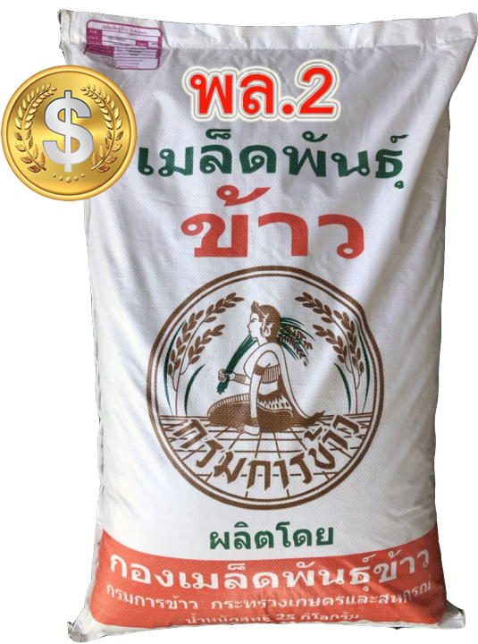 พิษณุโลก-2-พล2-พันธุ์ข้าวเจ้า-พิษณุโลก-2-ชั้นพันธุ์ขยาย-กรมการข้าว