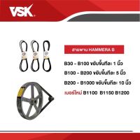 สายพานHAMMERA สายพานคุณภาพ สายพานร่องB91-B200สายพานเพื่อเกษตรกรไทย