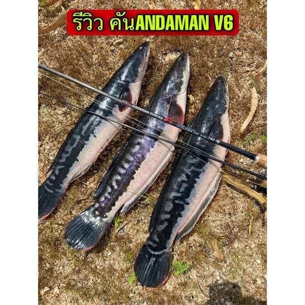 คันสปิ้นspin-andaman-v6-im8-เวท-10-30-ด้ามยาวพิเศษ