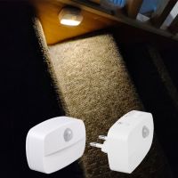 Motion Sensor Night Light EU Plug In 220V Battery Powered Motion Detector LED Night Lamp for Bedroom Closet Kitchen Toilet Stair Night Lights