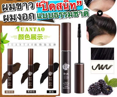 Hair Mascara มาสคาร่า ปิดผมขาว ปิดผมหงอก ปิดผมบาง ที่ปิดผมขาว ที่ปกปิดผมขาว แบบเร่งด่วน มาสคาร่าผมขาว ขนาด 14ml มี 3 สีให้เลือก T1081 T1082 T1083