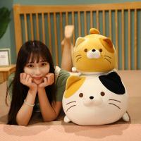 [COD] completely the cat pillow cartoon dumplings fat house plush toys office nap by gift