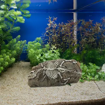 Nemo fish hotsell tank decorations