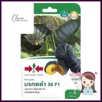 ฟักทองลูกผสม F1 มรกตดำ 35 ศรแดงHYBRID PUMPKIN SEED F1 SORNDAENG MORAKOD DAM **ใครยังไม่ลอง ถือว่าพลาดมาก**