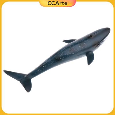 ของเล่นโมเดลฟิกเกอร์ท่าทางสัตว์สำหรับเด็กปลาวาฬทะเลสีน้ำเงินสมจริง CCArte