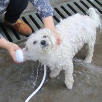 Kepala Keran Multifungsi Semprotan Shower Hewan Peliharaan Selang Shower Kepala Wastafel Pancuran Genggam Semprot Extender Sprinkler Shower Splash K0W0