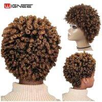 【Natural element】วิกผมสังเคราะห์อาฟโฟรที่ม้วนขดที่หยิกวิกผมสั้น Africans - Aliexpress