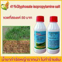 ยาฆ่าต้นไม้ สารกำจัดกอไผ่ ผงกำจัดต้นไม้ 200ML เหมาะสำหรับกำจัดวัชพืช ต้นไม้ และไผ่ทุกชนิด ไม่ทำลายดิน ยาฆ่าไผ่ สารกำจัดต้นไม้ ผงกำจัดกอไผ่ ผงฆ่าต้นไม้ ปุ๋ยกำจัดกอไผ่ ผงกำจัดต้นไผ่ ยาฆ่าไม้ไผ่ ยากำจัดวัชพืช กำจัดวัชพืช