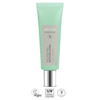 อาร์ทิสทรี สกิน นิวทริชั่น บาลานซิ่ง แมทท์ เจล โลชั่น Artistry Skin Nutrition™ Balancing Matte Gel Lotion 50g