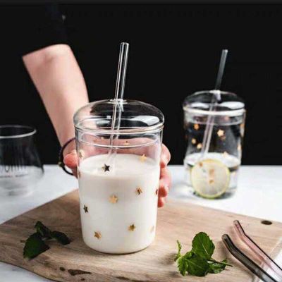 460ml Heat Resistant Glass Cup Transparent Coffee Mug with Lid Straw Home Milk Juice Flower Tea Cup Travel Mug Drinking Glass