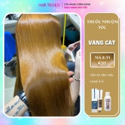 Thuốc nhuộm tóc màu VÀNG CÁT tặng kèm trợ dưỡng 100ml màu nhuộm  Chiko-Hairtrends Shop (C8.33) - Thuốc nhuộm | TheFaceHolic.com