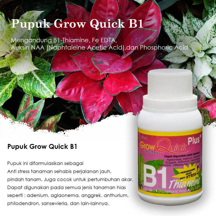 Pupuk Vitamin B1 Plus Grow Quick 100 Ml - Obat Tanaman Stress | Lazada ...