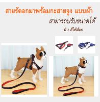 สายรัดอกมาพร้อมกะสายจูง สุนัขสัตว์เลี้ยงขนาดเล็กปรับได้ขนาดใหญ่ Dog Harness with leash #P047