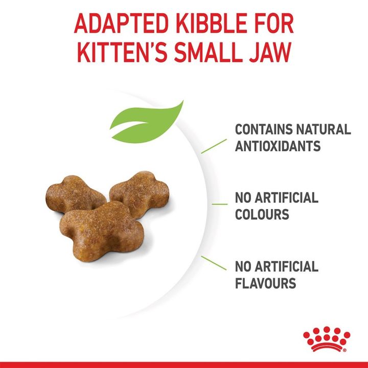 ส่งฟรี-royal-canin-kitten-400g-อาหารเม็ดลูกแมว-อายุ-4-12-เดือน