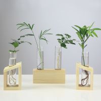 【LZ】❐  Vasos De Plantas Hidropônicas Vidro Cristal Transparente Tubo De Ensaio Vaso Plantas Verdes Pote Tampo De Mesa Escritório Casa Bonsai Decoração Sala De Estar