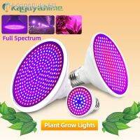 ﹍❁ ivhefd Kaguyahime-Planta de interior Cresce Luz Espectro Completo IR UV Flor Hidroponia 85-265V E27 4W 30W 50W