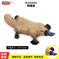 ? ของขวัญ Childrens cognitive simulation model of solid wildlife platypus Australian animal toy furnishing articles