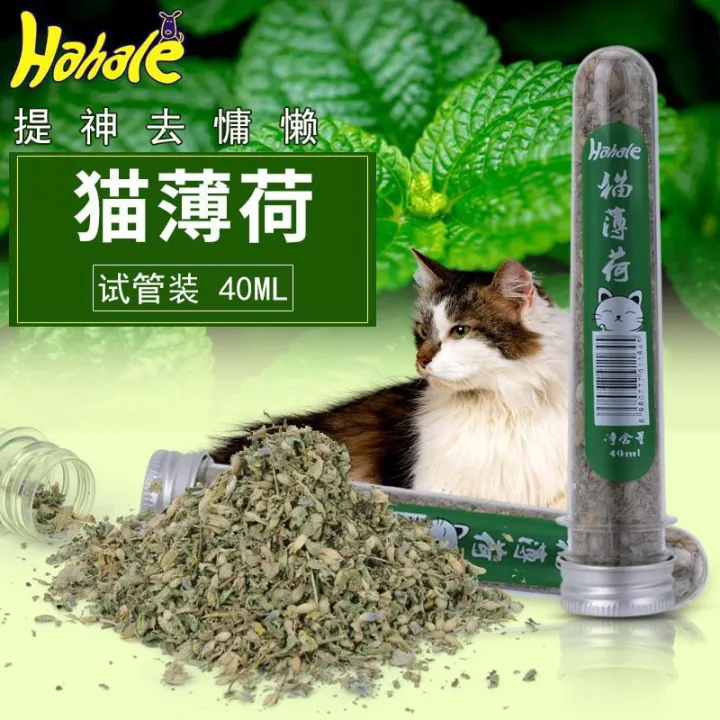 [[ READY STOCK ]] Pure Cat Mint Powder / Catnip / Cat Nip | Lazada
