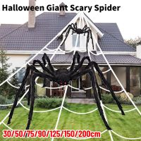 【FCL】❆ Scary Decoration Haunted Props Indoor Outdoor Vivid Huge Web