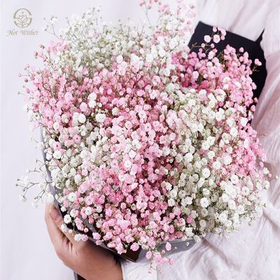 [AYIQ Flower Shop] ช่อดอกไม้ของตกแต่งงานแต่งงานสำหรับเจ้าสาวดอกไม้แห้งกรัมดอกยิปโซฟิล่าสำหรับประดับห้องการตกแต่งบ้าน