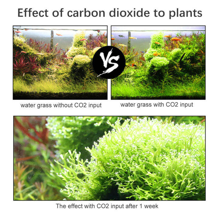 พิพิธภัณฑ์สัตว์น้ำ-diy-co2-ระบบเครื่องกำเนิดไฟฟ้าชุด-co2-ระบบเครื่องกำเนิดไฟฟ้าที่มีโซลินอยวาล์วฟองเคาน์เตอร์และตรวจสอบก๊าซคาร์บอนไดออกไซด์เครื่องปฏิกรณ์ชุดสำหรับพืชพิพิธภัณฑ์สัตว์น้ำ