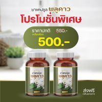 2กระปุก 500.-ส่งฟรี แคปซูลสมุนไพรพลูคาว เสริมภูมิคุ้มกัน ของแท้ จากบริษัท