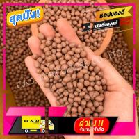 [ ของมันต้องมี!! ] ป็อปเปอร์ Popper ถุงละ 8 ลิตร ไซส์ M 6-8 mm. วัสดุปลูกดินเผามวลเบา [ สินค้ามาใหม่ Gift ]