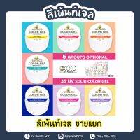 สีเพ้นท์เจล แบบตลับ   GDCOCO Gel PAINTS 5g.