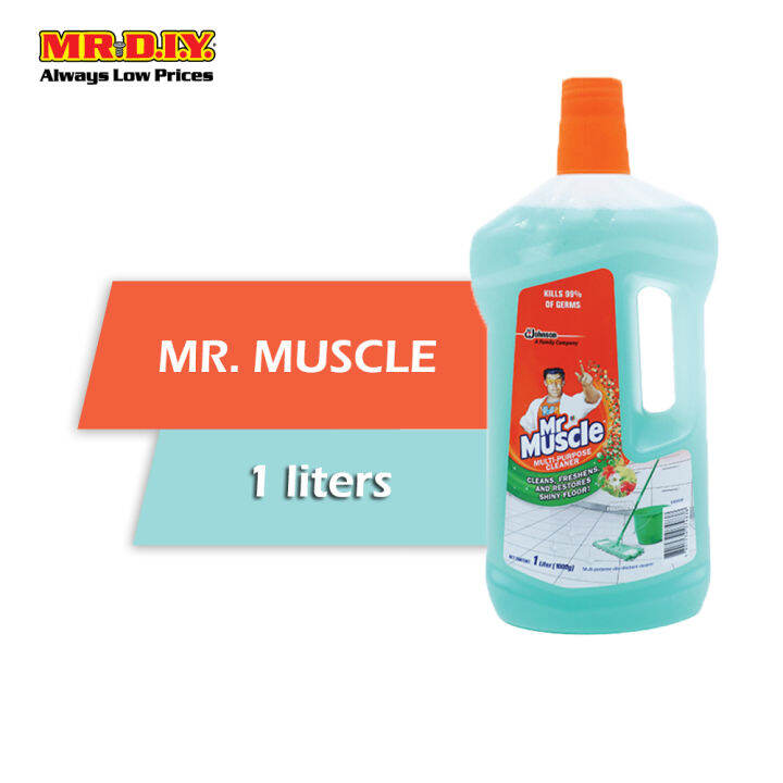 MR MUSCLE Multi-Purpose Cleaner Morning Freshness (1L) | Lazada