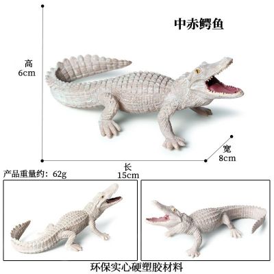 Children solid simulation model of wildlife boar alligator alligator Nile crocodile amphibians crocodile toy