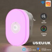 Smart Night Light WiFi Tuya Plug In Wall Lamp Voice Control Work with Alexa Google Home Asistant Timing Countdown Function