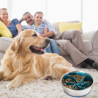 Slow Feeder Dog Bowls Spiral Slow Feeder Insert To Turn A Dog Bowl Or Dog Dish Into A Dog Bowl Slow Feeder Dog And Cat Feeding