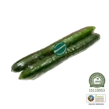 Fresh Organic English Cucumber, 500g : : Grocery & Gourmet Foods