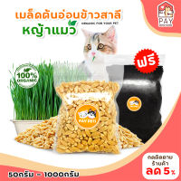 เมล็ดข้าวสาลี เมล็ดหญ้าแมว ( ซื้อ 5 แถม 1 ตามเงื่อนไข) หญ้ากระต่าย หญ้าหนู หญ้ากระรอก และสัตว์กินพืชอื่นๆ อาหารเสริมแมว อาหารเสริมหมา