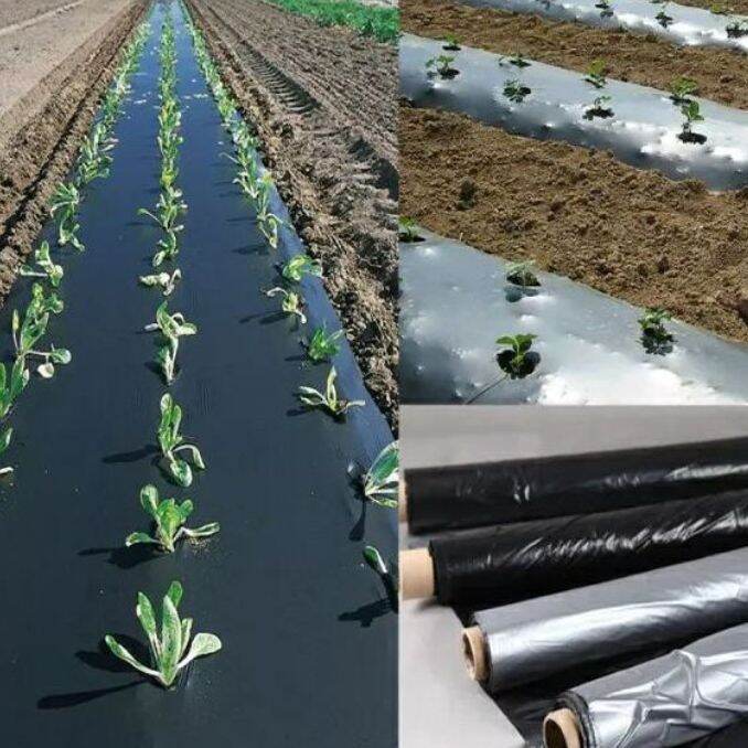 High Quality Plastic mulch (3ft x 50m x .30microns) by Plantito rey